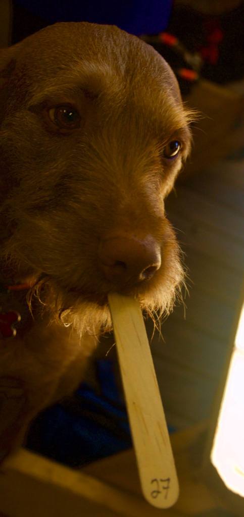 15994607_10100240551255195_3413913739519091499_o